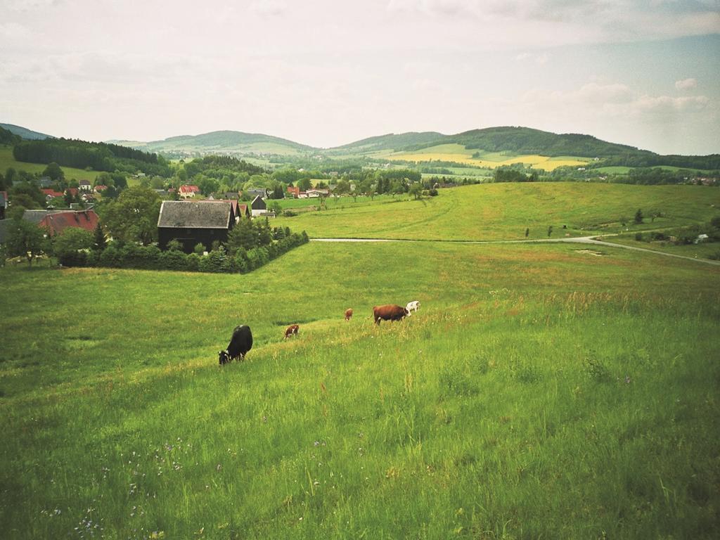 Ferienwohnungen Harmonie Und Bergblick Crostau Extérieur photo